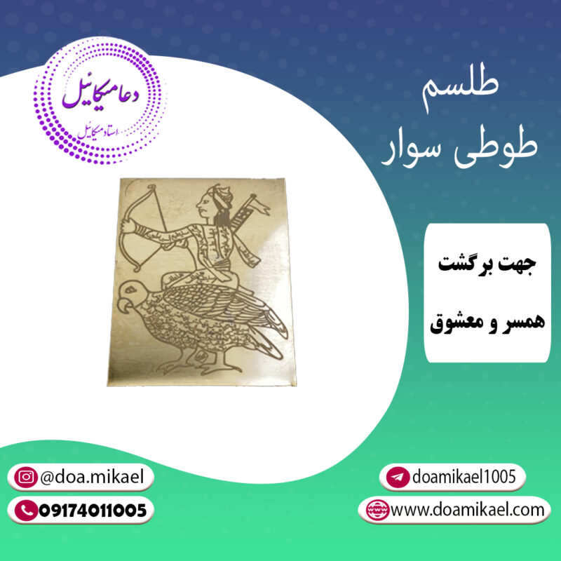 لوح فلزی طوطی سوار - تصویر 1