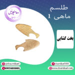 لوح فلزی ماهی 1