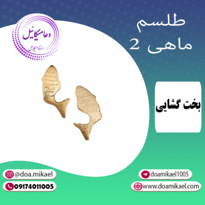 لوح فلزی ماهی 2