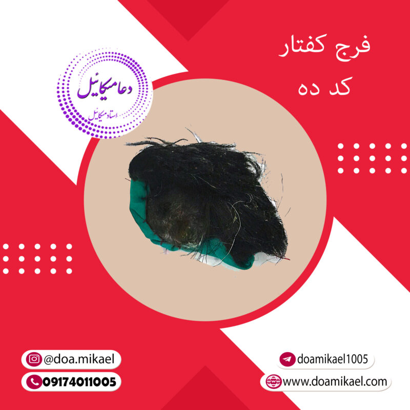 فرج کفتار کد ده - تصویر 1