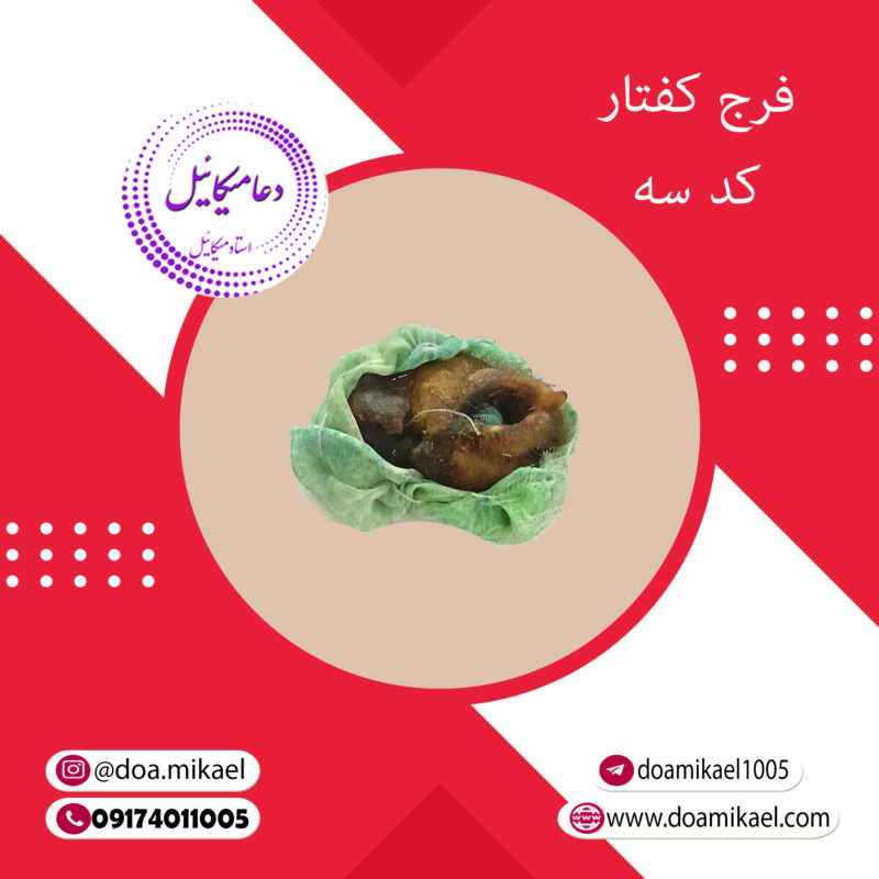 فرج کفتار کد سه - تصویر 1