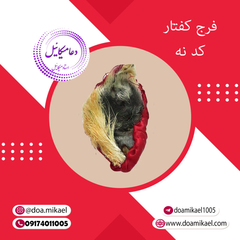 فرج کفتار کد نه - تصویر 1