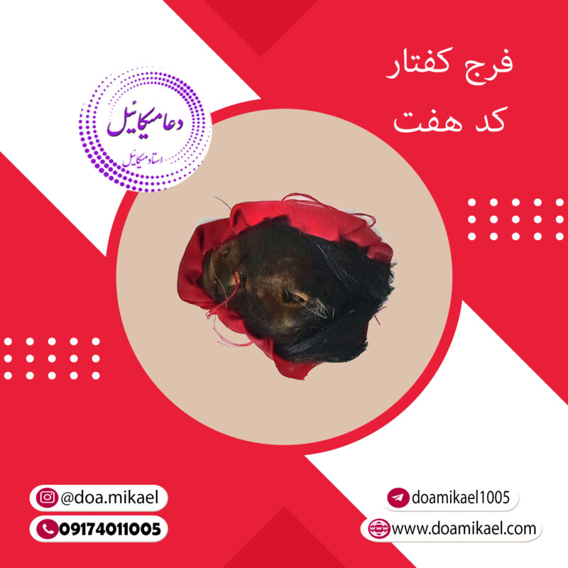 فرج کفتار کد هفت - تصویر 1