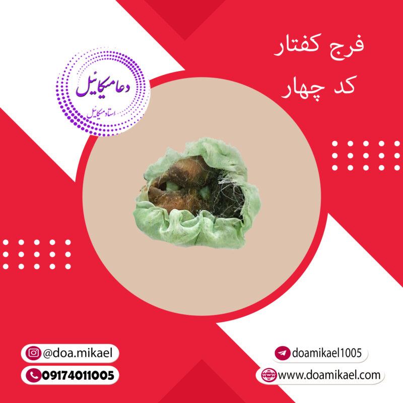 فرج کفتار کد چهار - تصویر 1
