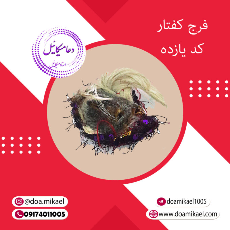 فرج کفتار کد یازده - تصویر 1