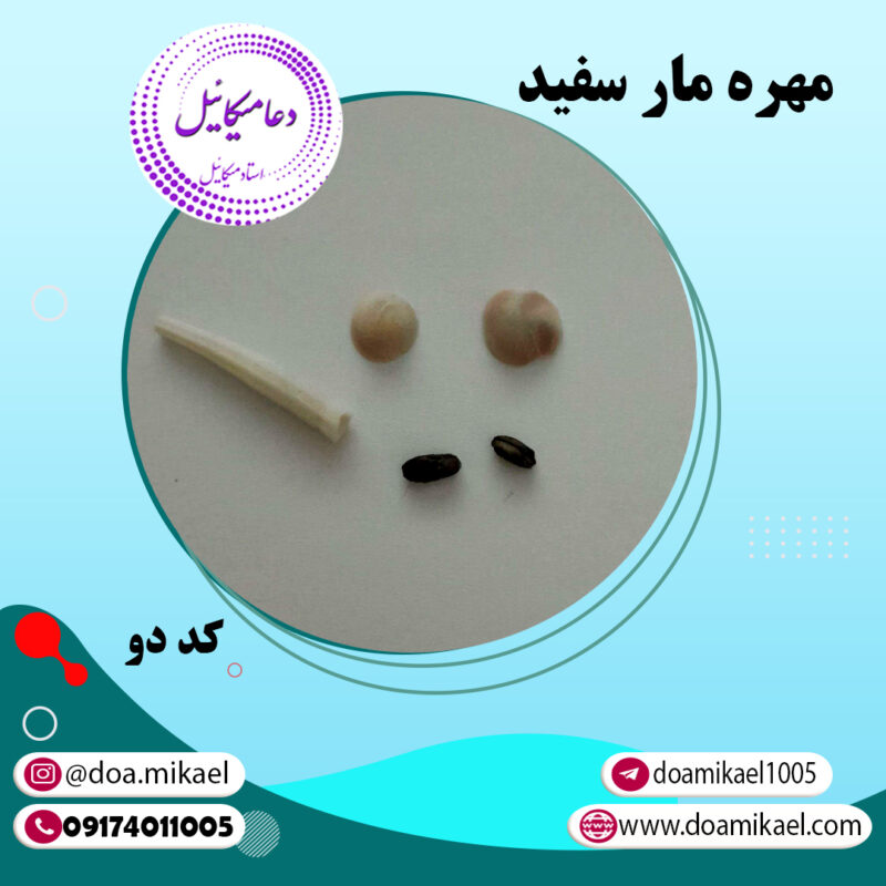 مهره مار سفید کد دو - تصویر 1