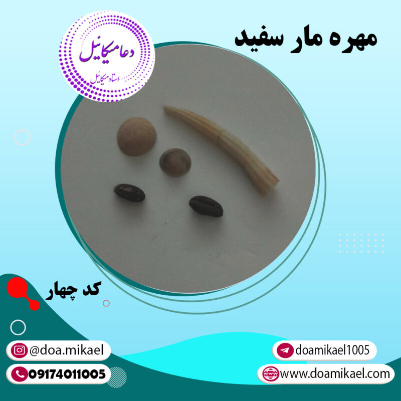 مهره مار سفید کد چهار - تصویر 1