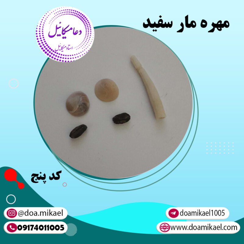 مهره مار سفید کد پنج - تصویر 1