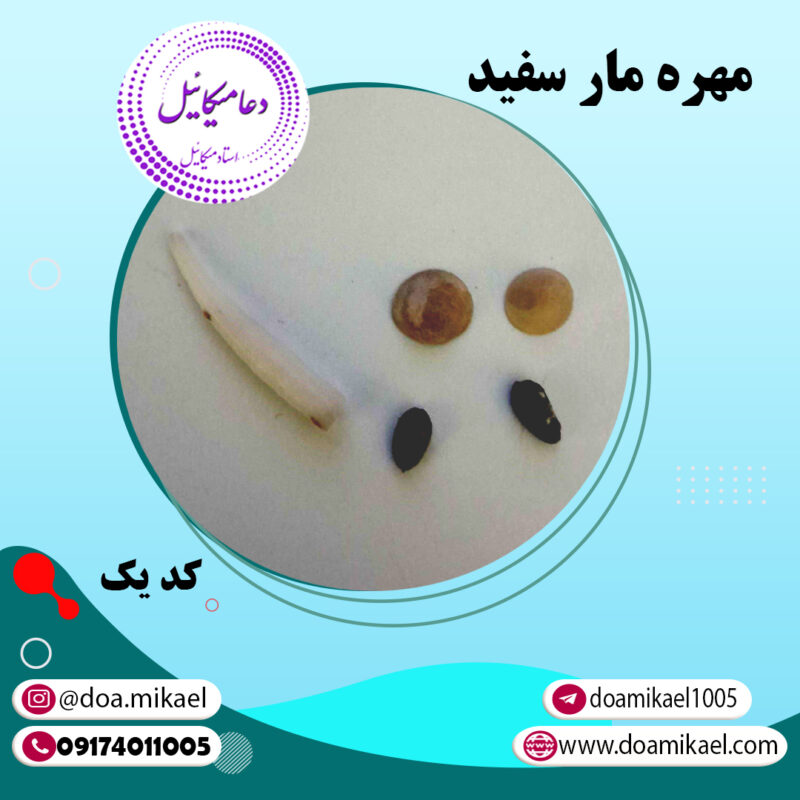 مهره مار سفید کد یک - تصویر 1