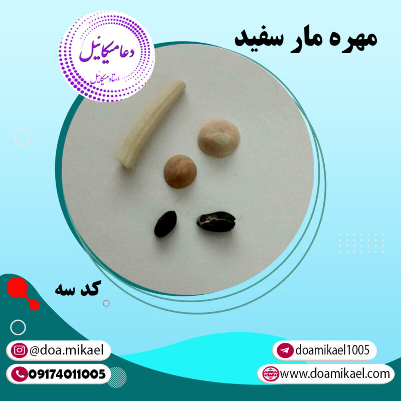 مهره مار سفید کد سه - تصویر 1