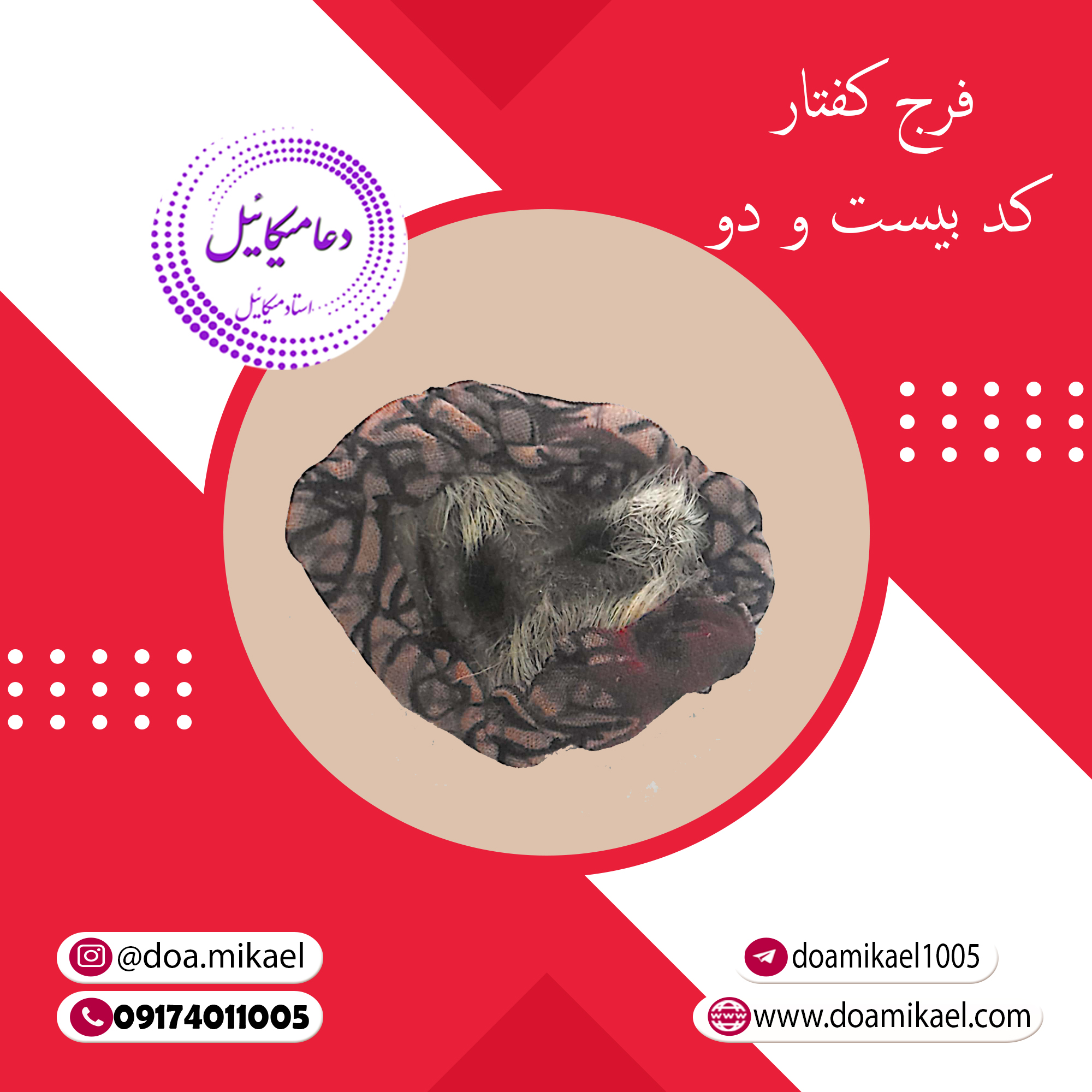 فرج کفتار کد بیست و دو فرج کفتار کد بیست و دو - تصویر 1