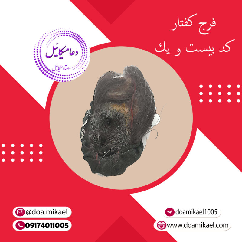 فرج کفتار کد بیست و یك - تصویر 1