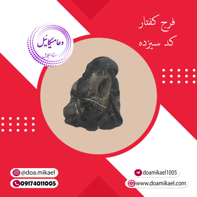 فرج کفتار کد سیزده - تصویر 1