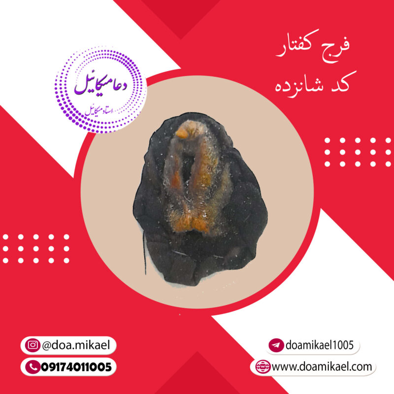 فرج کفتار کد شانزده - تصویر 1