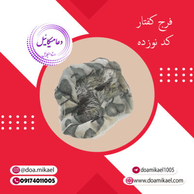 فرج کفتار کد نوزده