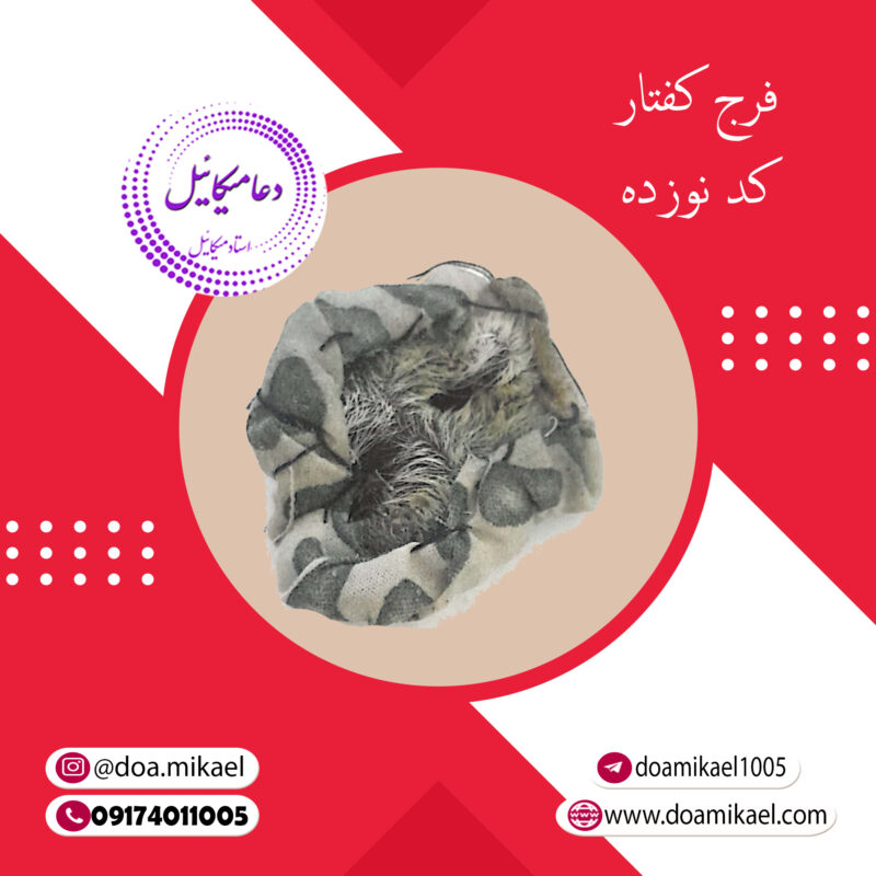 فرج کفتار کد نوزده - تصویر 1