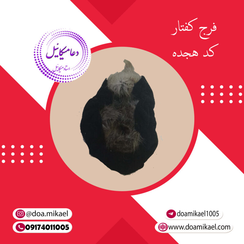 فرج کفتار کد هجده - تصویر 1