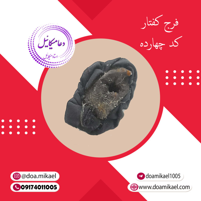 فرج کفتار کد چهارده - تصویر 1