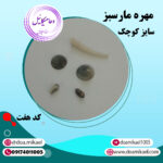 مهره مار سبز سایز کوچک کد هفت