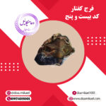 فرج کفتار کد بیست و پنج