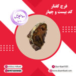 فرج کفتار کد بیست و چهار