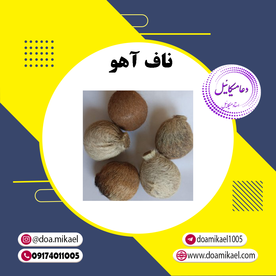 ناف آهو ناف آهو - تصویر 1