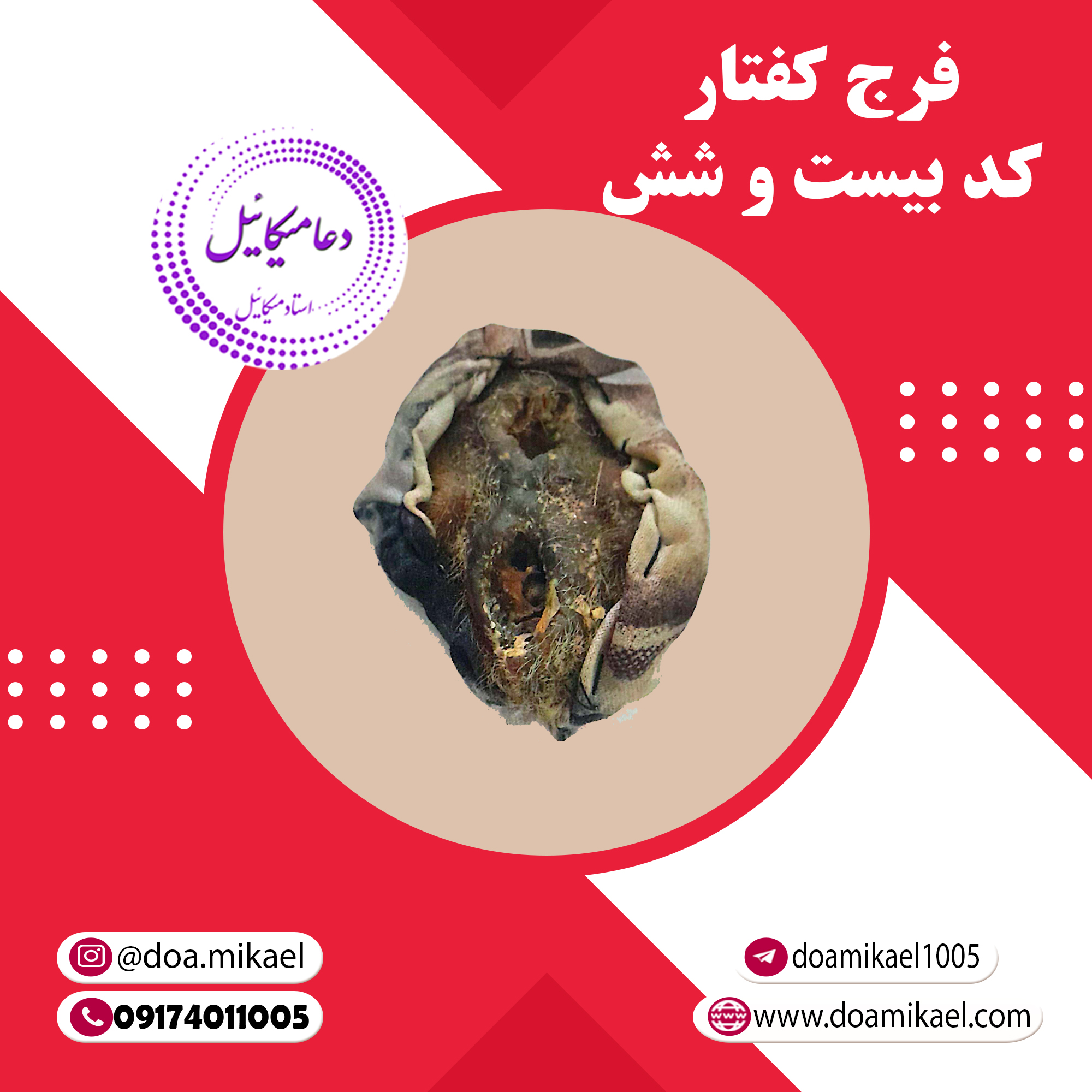 فرج کفتار کد بیست و شش فرج کفتار کد بیست و شش - تصویر 1