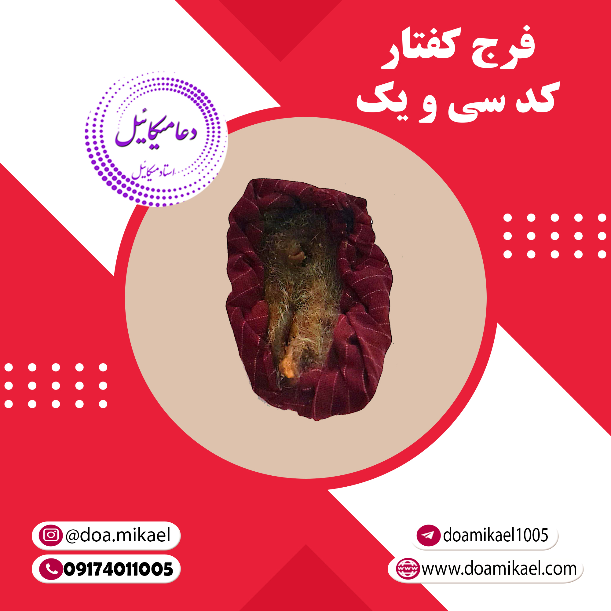 فرج کفتار کد سی و یک فرج کفتار کد سی و یک - تصویر 1