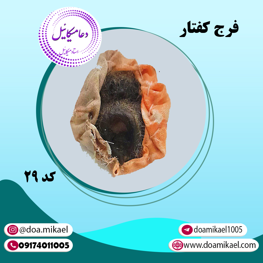 فرج کفتار کد29 فرج کفتار کد 29 - تصویر 1