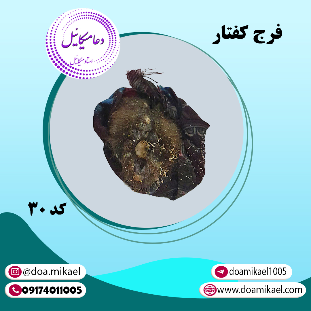 فرج کفتار کد30 فرج کفتار کد 30 - تصویر 1