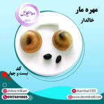 مهره مار خالدار کد بیست و چهار