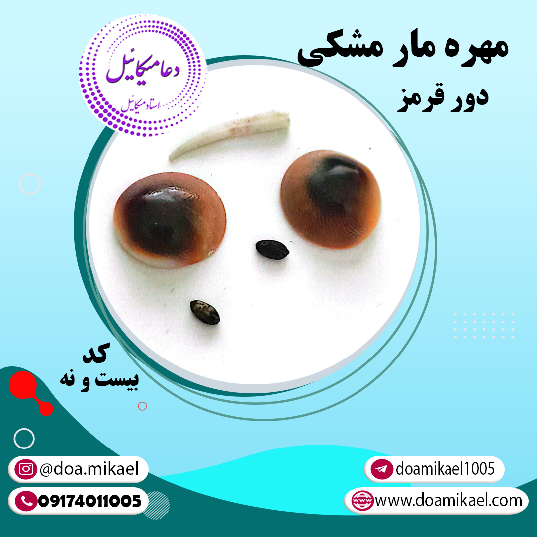 مهره مار مشکی دور قرمز کد بیست و نه مهره مار مشکی دور قرمز کد بیست و نه - تصویر 1